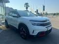 Citroen C5 Aircross BlueHDi 130 S&S EAT8 Shine Bianco - thumbnail 4