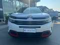 Citroen C5 Aircross BlueHDi 130 S&S EAT8 Shine Bianco - thumbnail 3