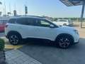 Citroen C5 Aircross BlueHDi 130 S&S EAT8 Shine Bianco - thumbnail 5