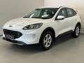 Ford Kuga 2.5 PHEV / 1e eig / BTW / CarPlay / Stoelverwarmin Wit - thumbnail 3