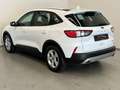 Ford Kuga 2.5 PHEV / 1e eig / BTW / CarPlay / Stoelverwarmin Wit - thumbnail 4