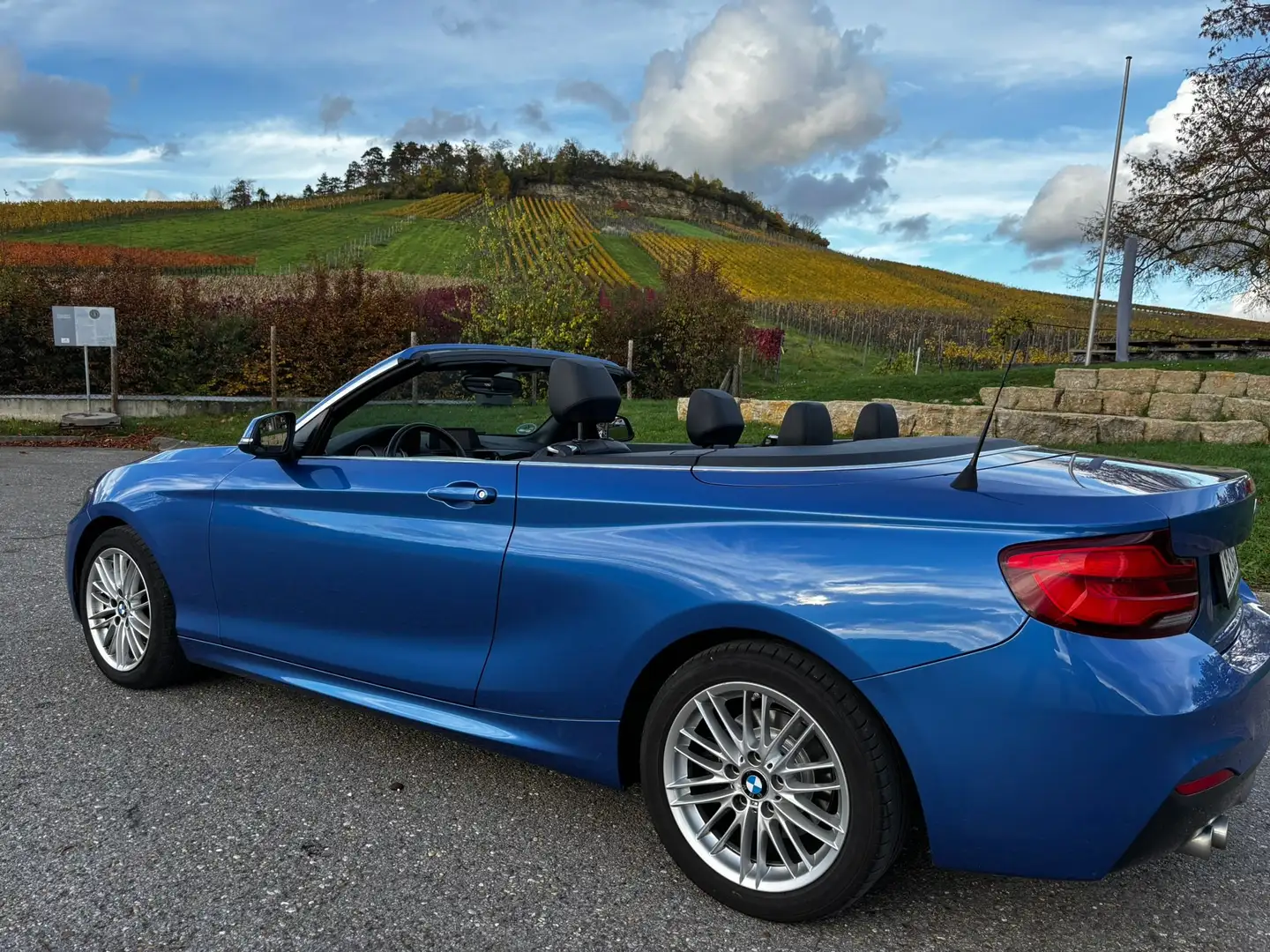 BMW 220 220i Cabrio Aut. M Sport Leder Kurvenlicht Keyless Mavi - 1