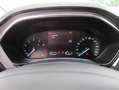 Ford Focus Beh.Windschutzsch., SH, Klima-Autom. Blau - thumbnail 13