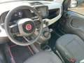 Fiat Panda Pandina CROSS 1.0 FireFly S&S Hybrid 70CV Bleu - thumbnail 18