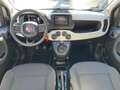 Fiat Panda Pandina CROSS 1.0 FireFly S&S Hybrid 70CV Bleu - thumbnail 22