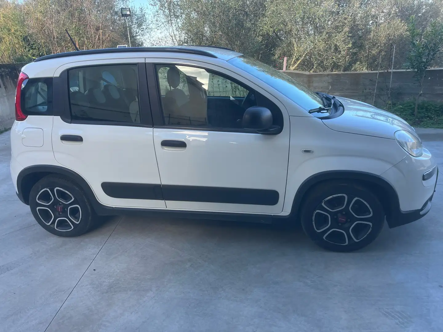 Fiat Panda 1.0 firefly hybrid City Life s&s 70cv 5p.ti Bianco - 2