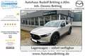 Mazda CX-30 SKYACTIV 2,5L 140PS 6AG Nagisa Navi Beige - thumbnail 1