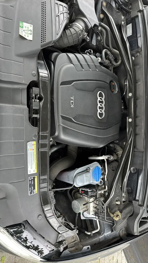 Audi Q5 2.0 TDI (130 kW) quattro Blau - 1