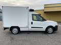 Fiat Doblo 1.3*Carrier Xarios 200*Kühlkoffer*Klima* Weiß - thumbnail 7