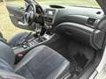 Subaru Impreza WRX STI Limousine Weiß - thumbnail 8