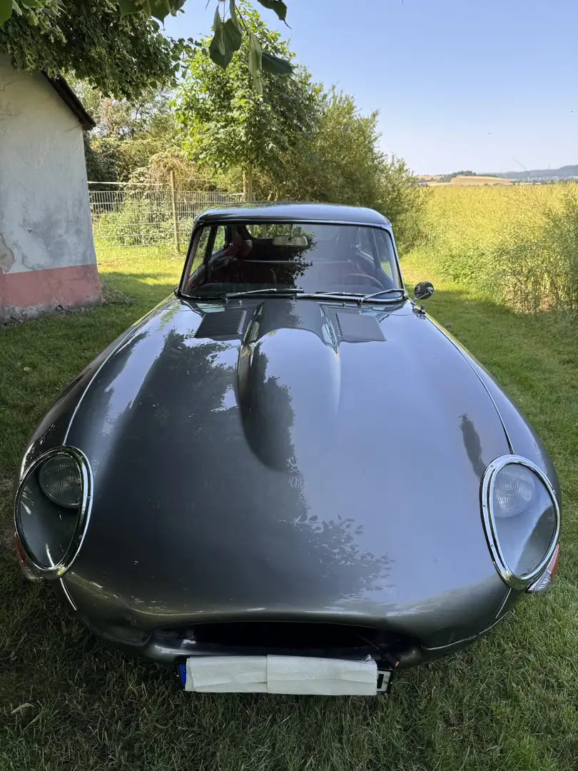 Jaguar E-Type Serie 1 2+2 Grey - 1