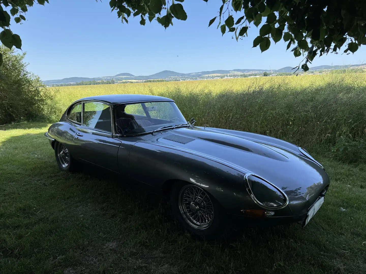 Jaguar E-Type Serie 1 2+2 Grey - 2