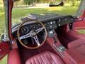 Jaguar E-Type Serie 1 2+2 Grey - thumbnail 12