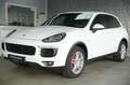 Porsche Cayenne Diesel *AHK*NAVI*STANDHEIZUNG Weiß - thumbnail 4