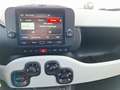 Fiat Panda / Pandina Cross 4x2 FireFly Hybrid 70 Blau - thumbnail 12