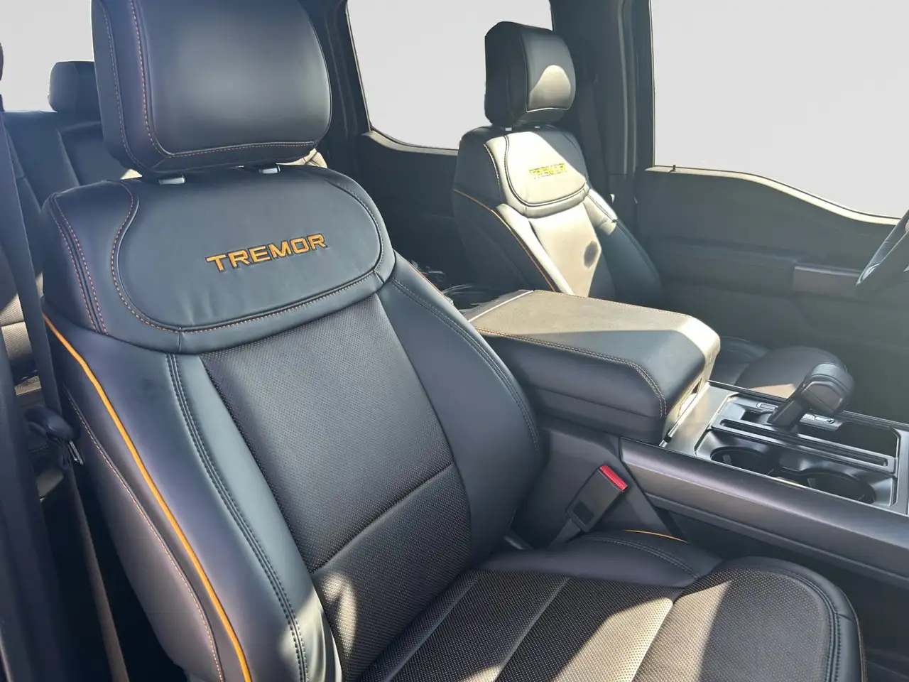 Ford F 150 fotografie Ford F 150