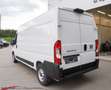 Fiat Ducato MAXI Kastenwagen L3H2 3500 140 EAT8 Bianco - thumbnail 6