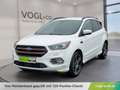 Ford Kuga ST-Line 2,0 TD 4X4 Weiß - thumbnail 1