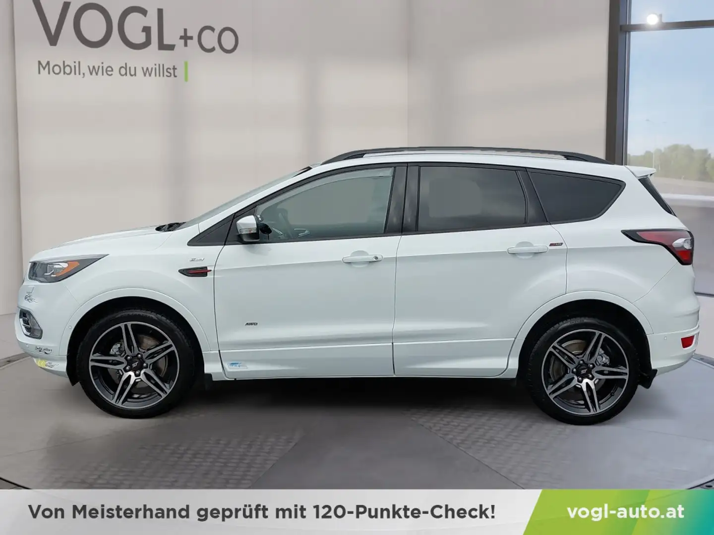 Ford Kuga ST-Line 2,0 TD 4X4 Blanc - 2