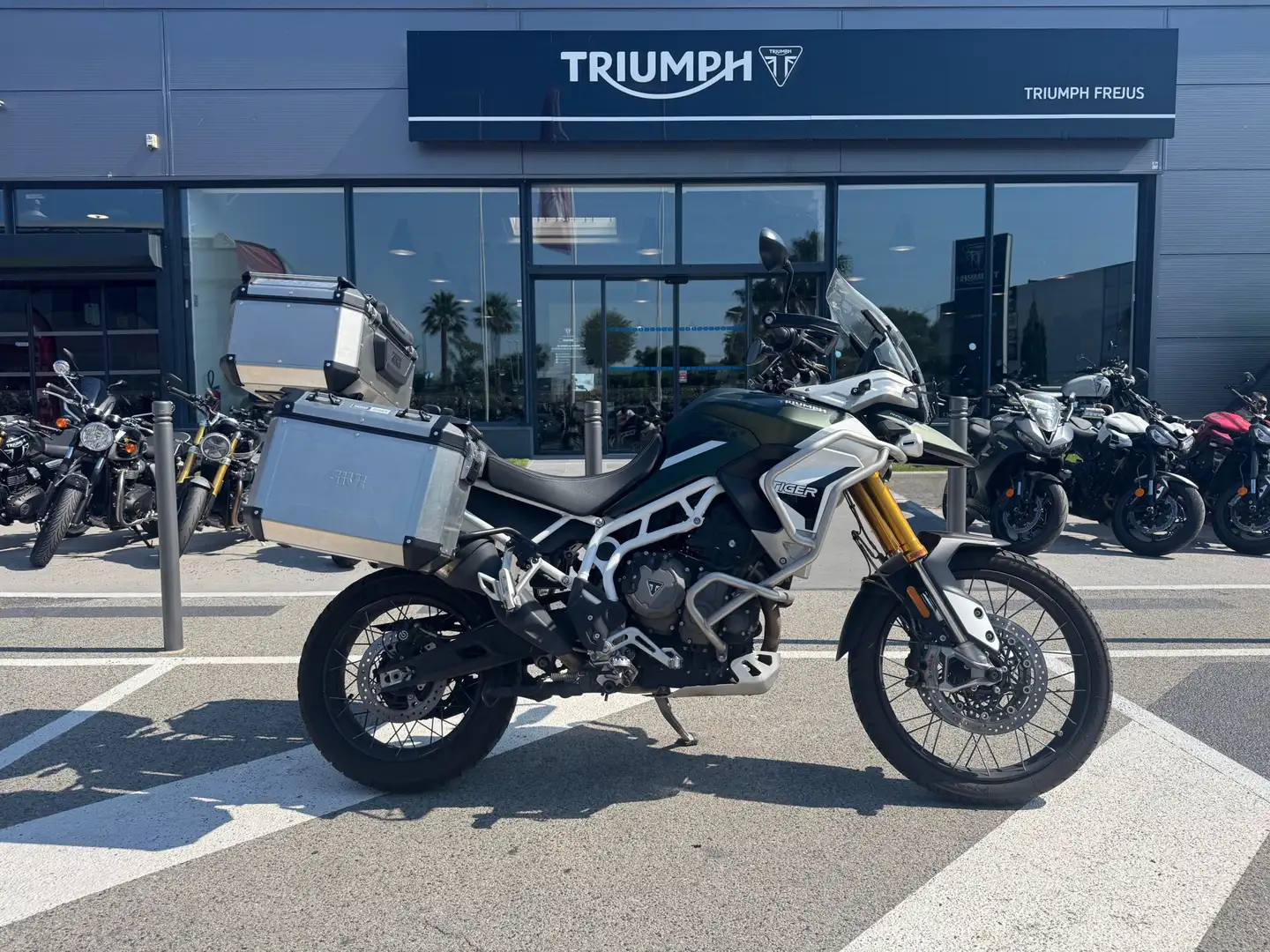 Triumph Tiger 900 - 1