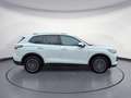 Volkswagen Tiguan 2.0 TDI SCR DSG Life Weiß - thumbnail 6