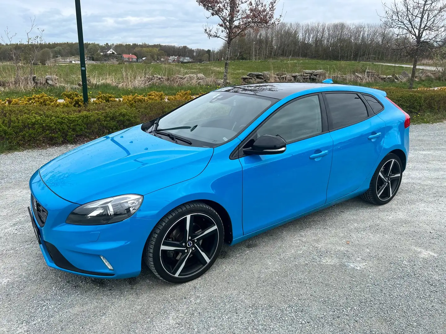 Volvo V40 V40 1.6 16v Optima Blu/Azzurro - 1