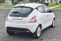 Lancia Ypsilon Ypsilon 1.2 69 CV 5 porte Gold Blanc - thumbnail 5