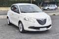 Lancia Ypsilon Ypsilon 1.2 69 CV 5 porte Gold Blanc - thumbnail 3
