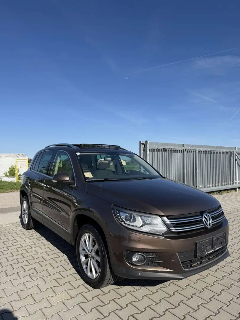 Volkswagen Tiguan 2,0 TDI BMT 4Motion Sky DPF Braun - 1