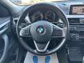 BMW X2 Sdrive16d Business Auto Blu/Azzurro - thumbnail 42