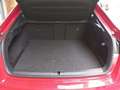 Skoda Octavia . Rouge - thumbnail 12