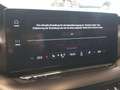 Skoda Octavia . Rouge - thumbnail 9