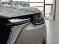 Mazda CX-60 DIESEL 3.3L 254PS 8AT EXCLUSIVE-LINE AUT - thumbnail 8