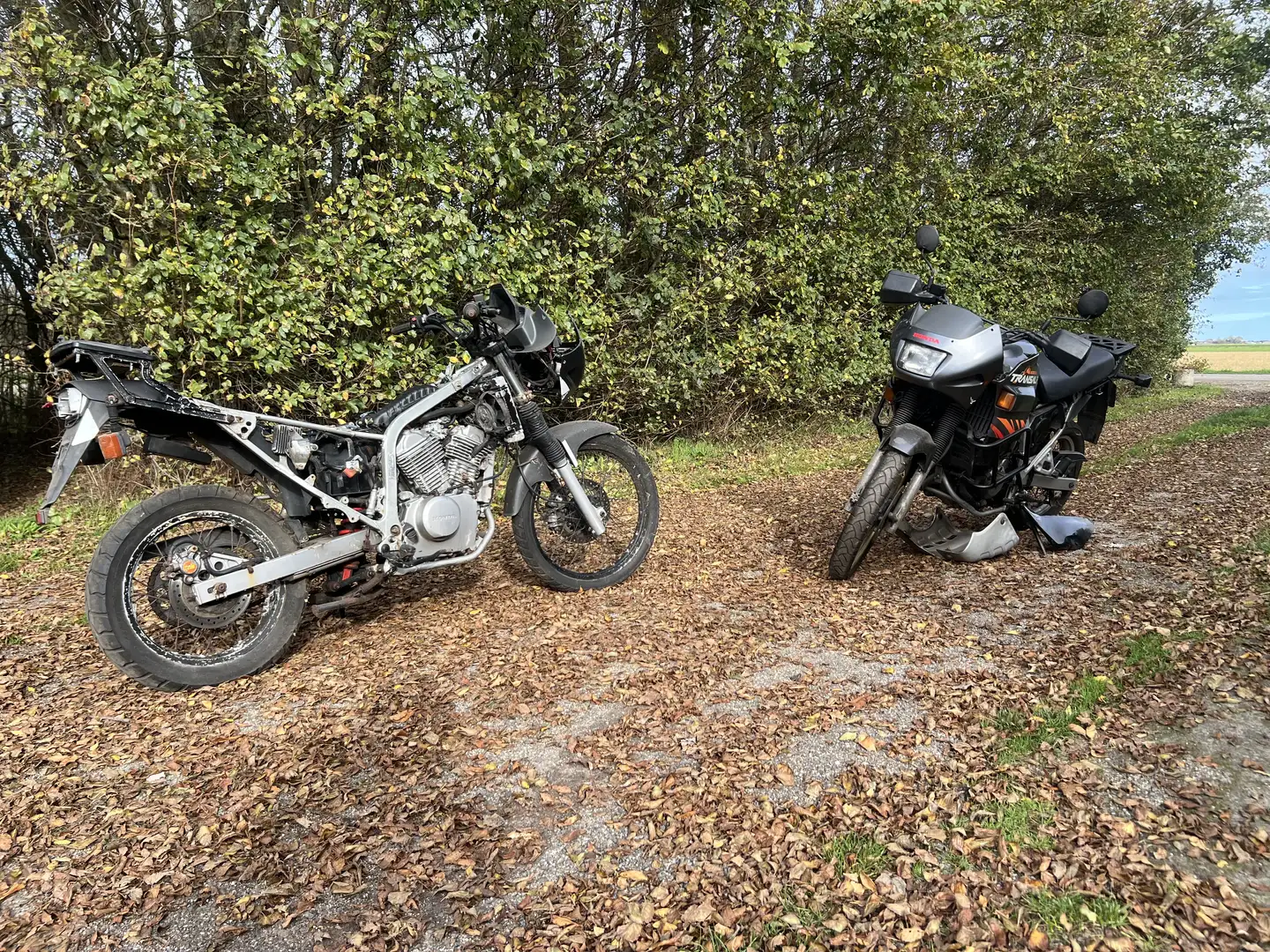 Honda Transalp 2 x XL600V Allroad Onderdelen Motoren Szary - 1