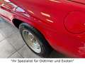 Alfa Romeo Spider 2.0 Veloce Motor überholt Roşu - thumbnail 11
