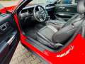 Ford Mustang GT 5.0  V8 NAV KAM PDC LED Red - thumbnail 12