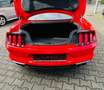 Ford Mustang GT 5.0  V8 NAV KAM PDC LED Red - thumbnail 10