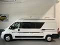 Fiat Ducato 35 2.3 Mjet Furgón Medio Alto 96kW (130C Blanco - thumbnail 19