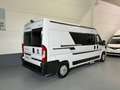 Fiat Ducato 35 2.3 Mjet Furgón Medio Alto 96kW (130C Blanco - thumbnail 2