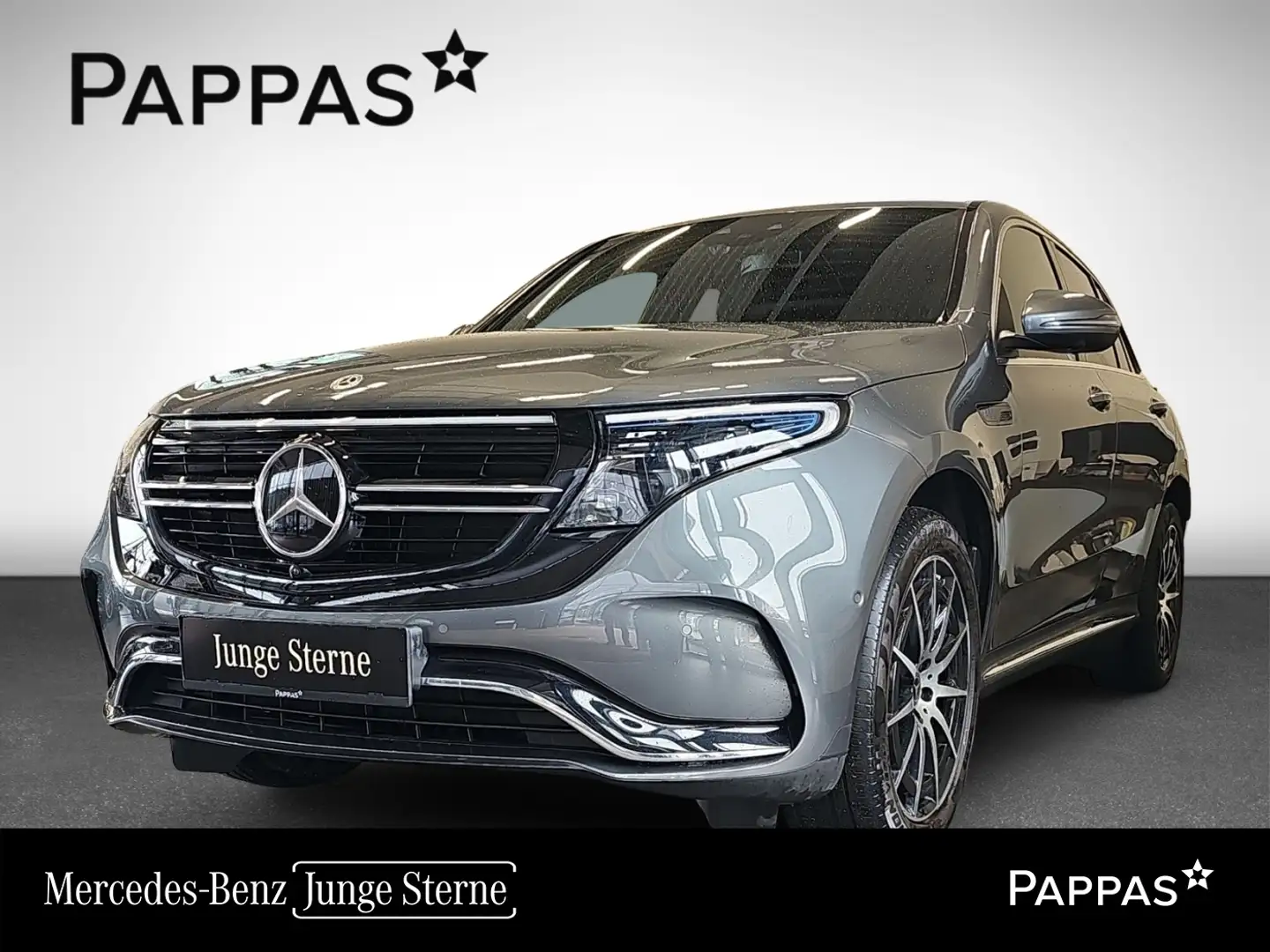 Mercedes-Benz EQC 400 4Matic AMG Line Distr PTS SHD AUT Cam Grau - 1
