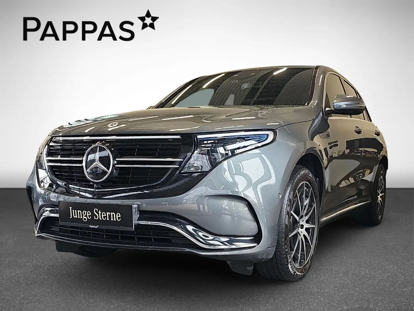 Mercedes-Benz EQC 400 4Matic AMG Line Distr PTS SHD AUT Cam Grau - 2