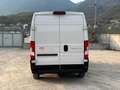 Toyota Proace Max 33 2.2 BlueHDi 120CV PM-TM Furgone Bianco - thumbnail 6