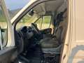 Toyota Proace Max 33 2.2 BlueHDi 120CV PM-TM Furgone Bianco - thumbnail 9