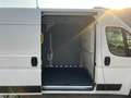 Toyota Proace Max 33 2.2 BlueHDi 120CV PM-TM Furgone Bianco - thumbnail 12