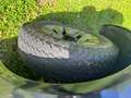 Suzuki Jimny Jimny Style Ranger Schwarz - thumbnail 9