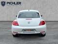 Volkswagen Beetle VW The Beetle Design TSI Weiß - thumbnail 4