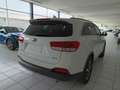 Kia Sorento 2.2 CRDI DRIVE 2WD 5P 7 PLAZAS Blanco - thumbnail 6