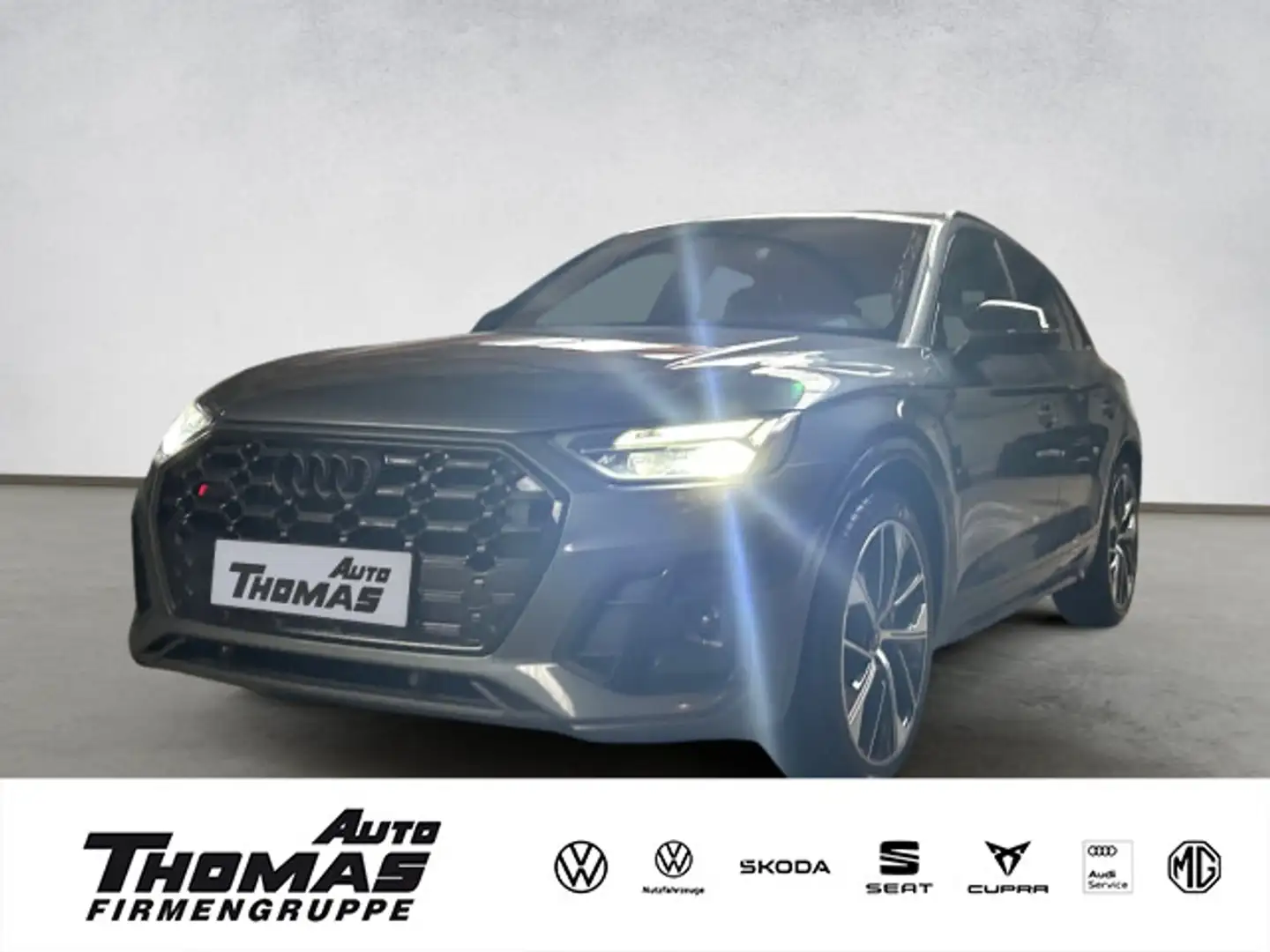 Audi SQ5 TDI AHK 21 Zoll Panorama Dach Grau - 1