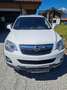 Opel Antara Antara 2,2 CDTI Cosmo DPF Aut. Cosmo Weiß - thumbnail 1