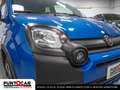 Fiat Panda Panda Cross 1.0 FireFly S&S Hybrid PROMO FLEX Blu/Azzurro - thumbnail 17